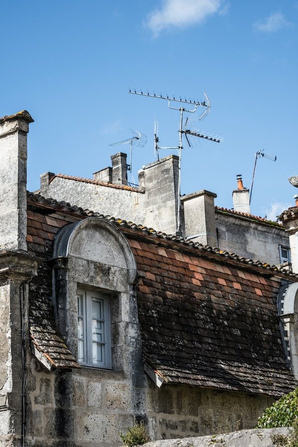 L'efficacité de la terre de diatomée contre les punaises de lit